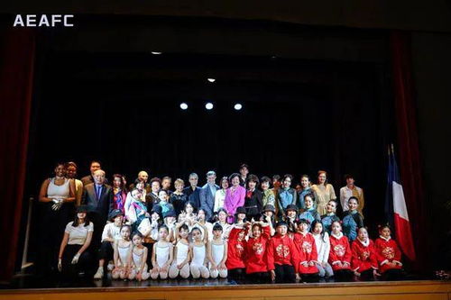中法文化藝術(shù)交流協(xié)會迎春活動暨pde國際舞蹈展演季新聞發(fā)布會
